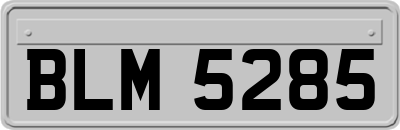 BLM5285