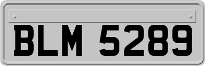 BLM5289