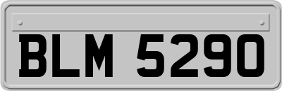 BLM5290