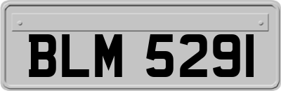 BLM5291