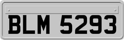 BLM5293