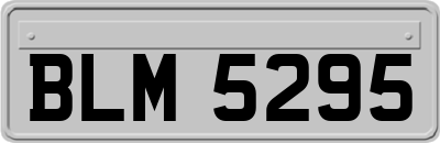 BLM5295