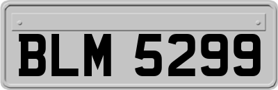 BLM5299