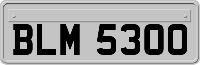 BLM5300