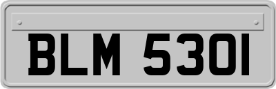 BLM5301