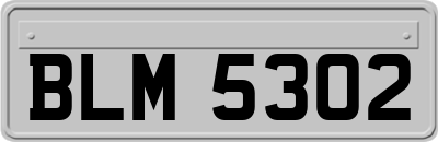 BLM5302