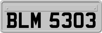 BLM5303