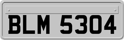 BLM5304