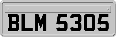 BLM5305