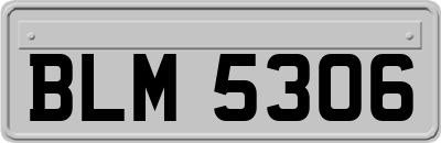 BLM5306