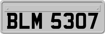 BLM5307