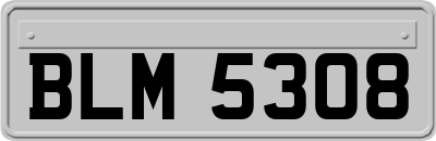 BLM5308