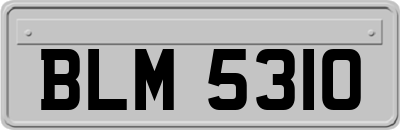 BLM5310