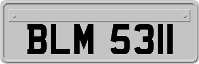 BLM5311