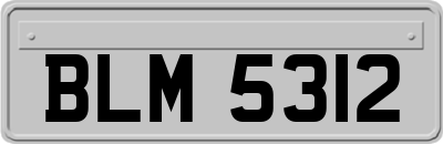 BLM5312