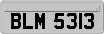 BLM5313