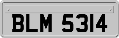 BLM5314