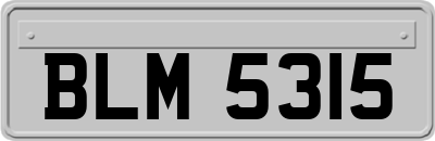 BLM5315
