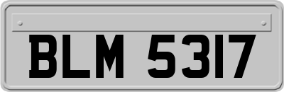 BLM5317