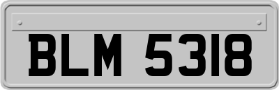 BLM5318