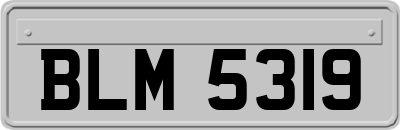 BLM5319