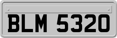 BLM5320