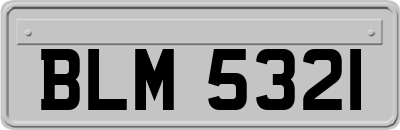 BLM5321