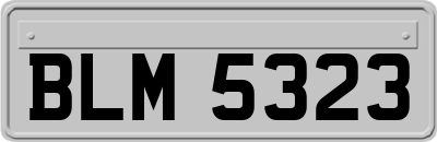 BLM5323