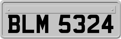 BLM5324