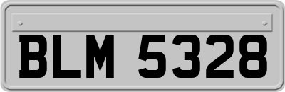 BLM5328
