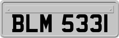 BLM5331