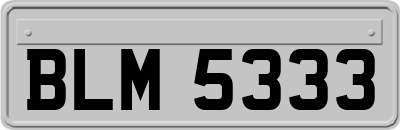 BLM5333
