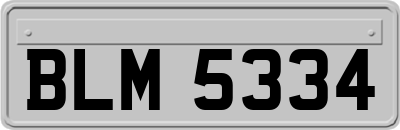 BLM5334