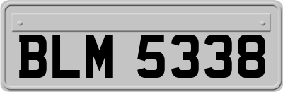 BLM5338