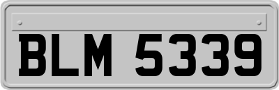 BLM5339
