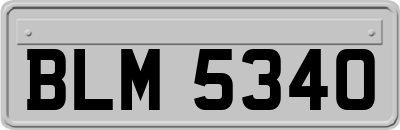 BLM5340