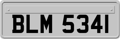 BLM5341