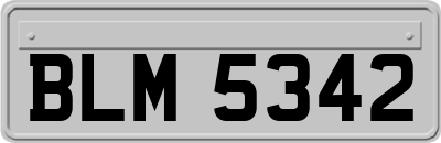 BLM5342