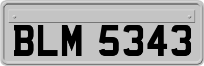 BLM5343