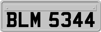 BLM5344