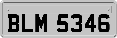 BLM5346