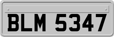 BLM5347