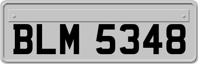 BLM5348