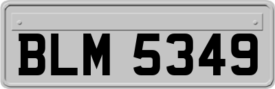 BLM5349