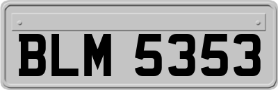 BLM5353