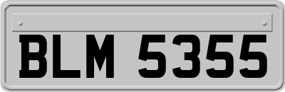 BLM5355