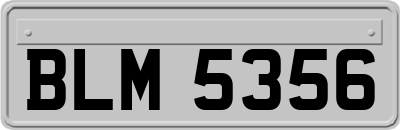 BLM5356