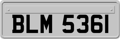 BLM5361