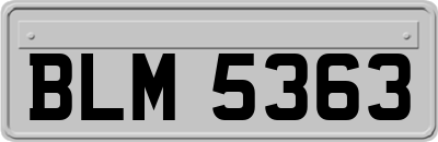 BLM5363