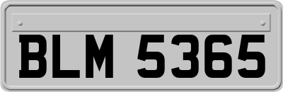 BLM5365